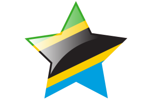 坦桑尼亚国旗星图标