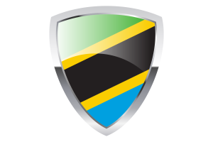 坦桑尼亚盾旗
