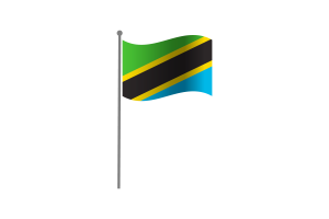 挥舞着坦桑尼亚国旗