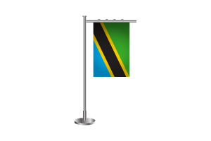 3d 坦桑尼亚站立旗