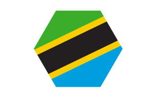 坦桑尼亚国旗矢量免费 |SVG 和 PNG
