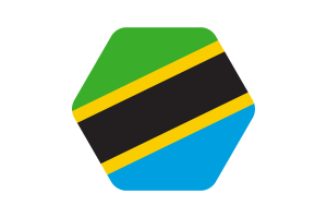 坦桑尼亚国旗矢量插图