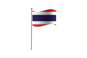 挥舞着泰国国旗