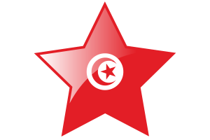 突尼斯国旗星图标