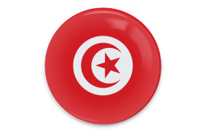 突尼斯国旗矢量艺术