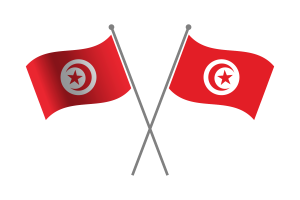突尼斯友谊旗帜