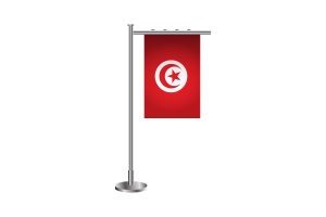 3d 突尼斯站立旗