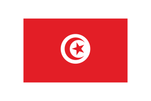 突尼斯国旗三角形矢量插图
