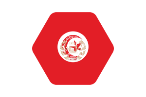 突尼斯国旗矢量插图