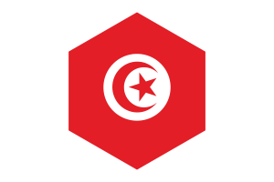 突尼斯国旗六边形