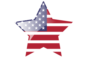 美国国旗星图标