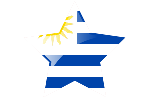 乌拉圭国旗星图标