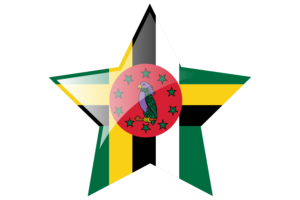 多米尼克国旗星图标
