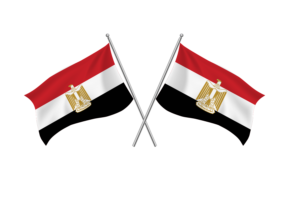 埃及挥舞友谊旗帜