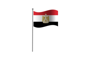 挥舞着埃及国旗