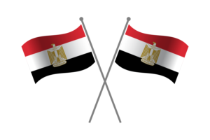 埃及友谊旗帜