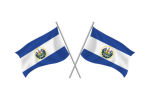 厄瓜多尔挥舞友谊旗帜