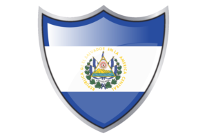 盾牌与厄瓜多尔国旗