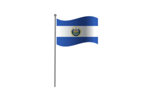 挥舞着厄瓜多尔国旗