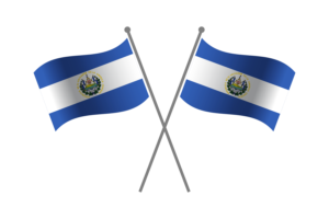 厄瓜多尔友谊旗帜