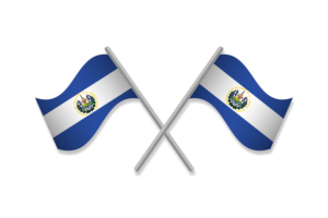 厄瓜多尔国旗插图剪贴画