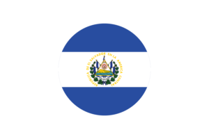 厄瓜多尔国旗矢量免费下载