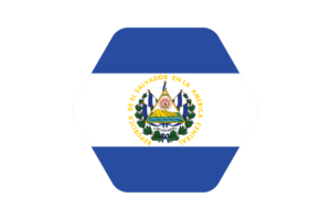 厄瓜多尔国旗矢量插图