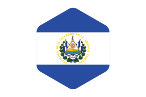 厄瓜多尔国旗圆形六边形