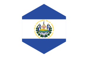厄瓜多尔国旗六边形