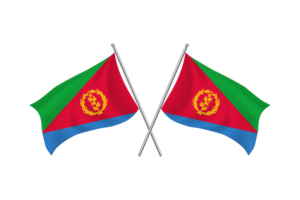 厄立特里亚挥舞友谊旗帜
