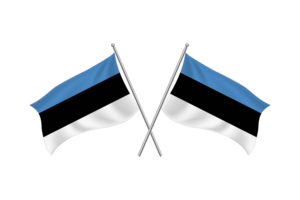 爱沙尼亚挥舞友谊旗帜