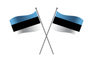 爱沙尼亚友谊旗帜