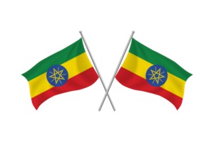 埃塞俄比亚挥舞友谊旗帜