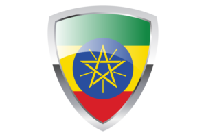 埃塞俄比亚盾旗