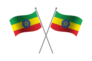 埃塞俄比亚友谊旗帜