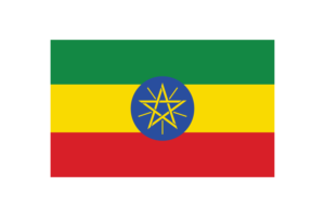 埃塞俄比亚国旗三角形矢量插图