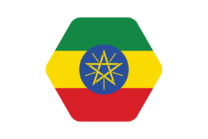 埃塞俄比亚国旗矢量插图