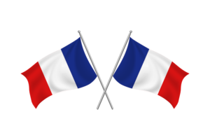 法国挥舞友谊旗帜