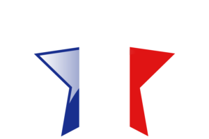 法国国旗星图标