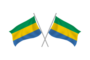 加蓬挥舞友谊旗帜