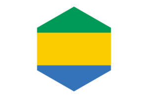 加蓬国旗六边形