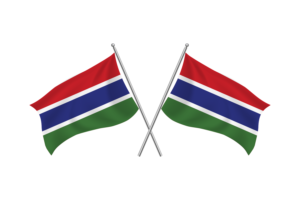 冈比亚挥舞友谊旗帜