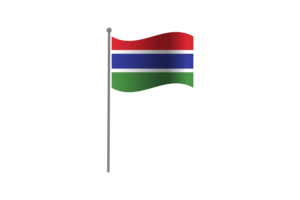 挥舞着冈比亚国旗