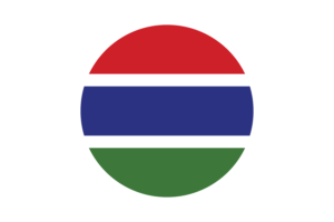 冈比亚国旗矢量免费下载