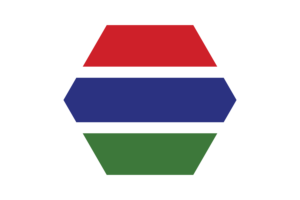 冈比亚国旗矢量免费 |SVG 和 PNG