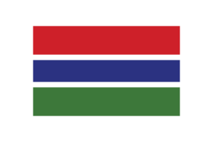 冈比亚国旗三角形矢量插图