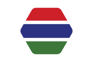 冈比亚国旗矢量插图