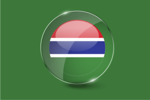 冈比亚国旗光泽圆形按钮