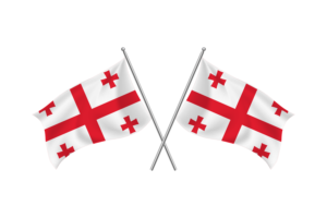 格鲁吉亚挥舞友谊旗帜