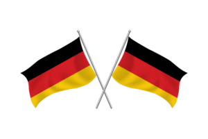 德国挥舞友谊旗帜
